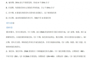 2021年高考全国乙卷生物参考表高考真题答案解析