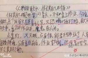 【芝麻学社】ahashool漫游世界之硅谷第二季-改变世界的工程师