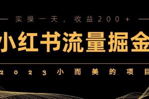 2023小而美的项目，小红书流量掘金，实操一天，收益200+【揭秘】